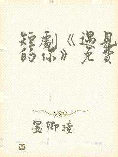 短剧《遇见正确的你》免费观看全集