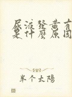 尿液发黄有泡泡是什么原因