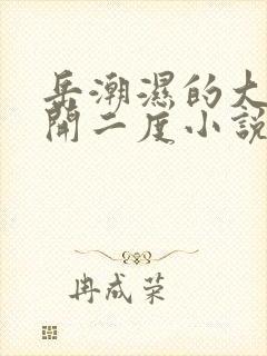 岳潮湿的大肥梅开二度小说