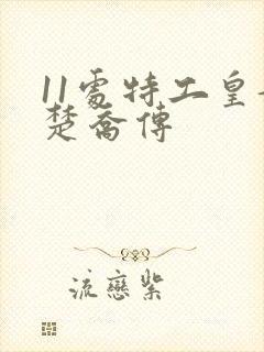 11处特工皇妃楚乔传