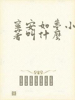 宁安如梦小说原著叫什么