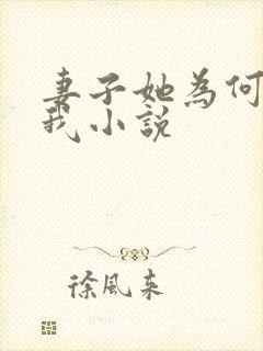 妻子她为何拒绝我小说