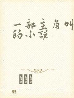 一部主角叫楚风的小说