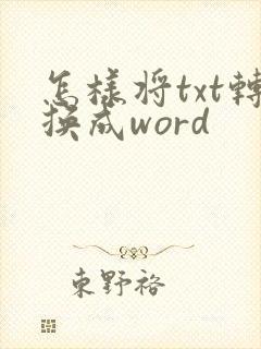 怎样将txt转换成word