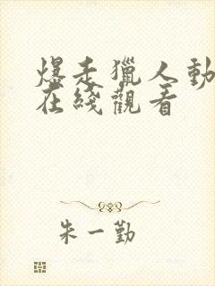 爆走猎人动漫版在线观看