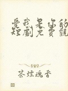 爱我是你的谎言短剧免费观看高清