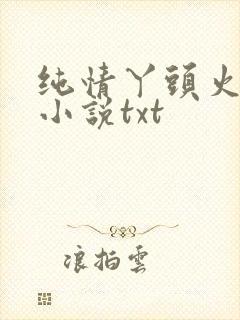 纯情丫头火辣辣小说txt