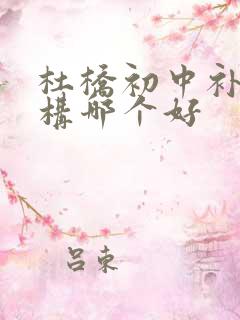 杜桥初中补课机构哪个好