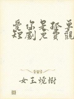 爱你是孤单的事短剧免费观看