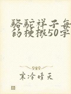 骆驼祥子每一章的梗概50字