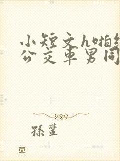 小短文h啪纯肉公交车男同