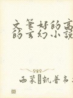 文笔好的高质量的玄幻小说