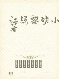 江照黎明小说原著