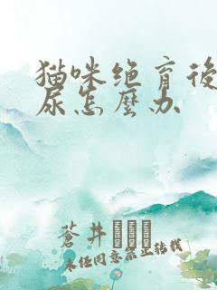 猫咪绝育后还乱尿怎么办