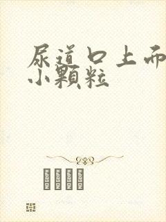 尿道口上面长了小颗粒