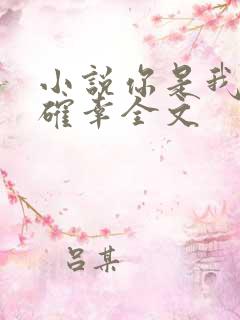 小说你是我的小确幸全文