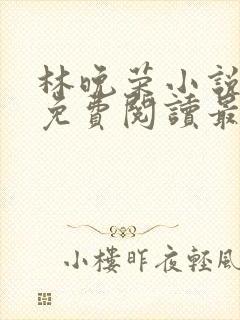 林晚荣小说全文免费阅读最新章节