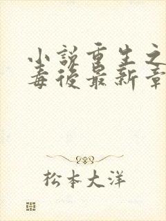 小说重生之将门毒后最新章节目录