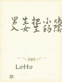 男生把小鸡鸡插入女生的阴道里