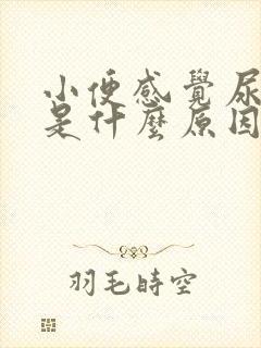 小便感觉尿不尽是什么原因引起的