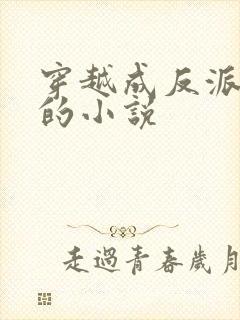 穿越成反派后娘的小说