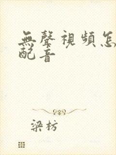 无声视频怎么加配音