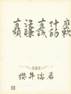 有没有什么刷视频赚钱的软件