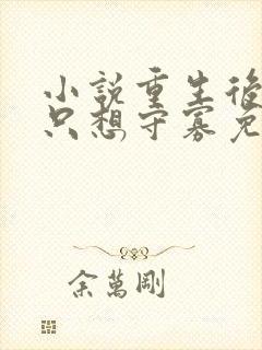 小说重生后夫人只想守寡免费阅读