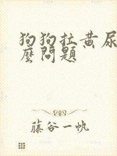 狗狗拉黄尿是什么问题