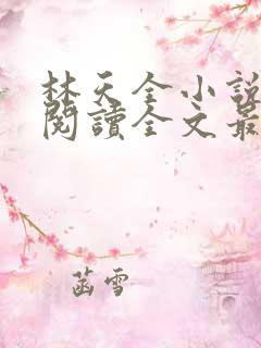 林天全小说免费阅读全文最新章节