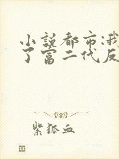 小说都市:我成了富二代反派完整版