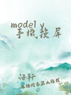 model y 手机投屏