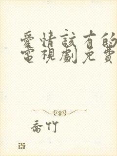 爱情该有的样子电视剧免费观看