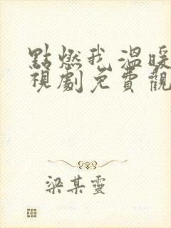 点燃我温暖你电视剧免费观看彩蛋