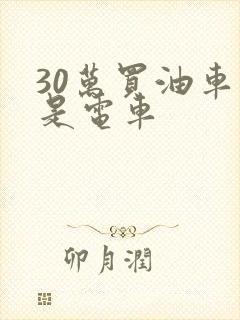 30万买油车还是电车