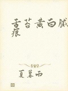 舌苔黄白腻有齿痕