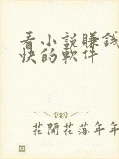 看小说赚钱比较快的软件