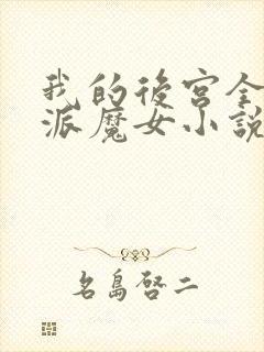 我的后宫全是反派魔女小说在线看