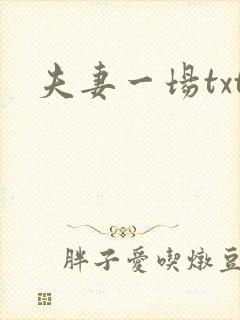 夫妻一场txt