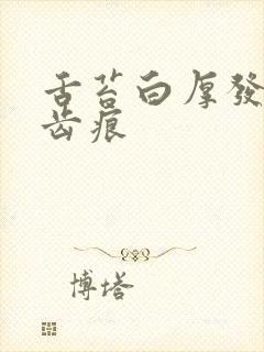 舌苔白厚发黄有齿痕