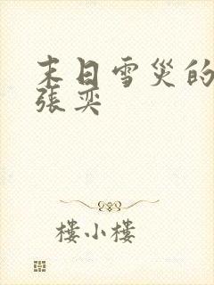 末日雪灾的小说张奕