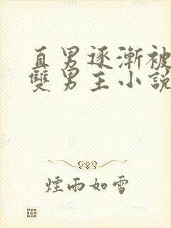 直男逐渐被掰弯双男主小说