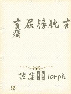 有尿膀胱有点胀痛