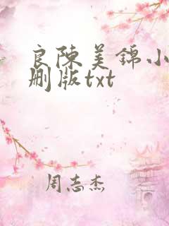 良陈美锦小说未删版txt