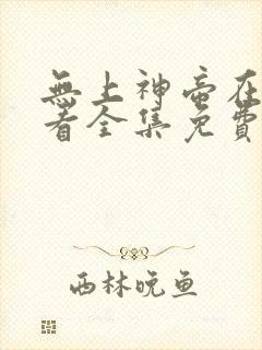 无上神帝在线观看全集免费播放动漫