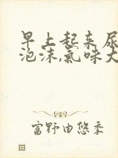 早上起来尿黄有泡沫,气味大是啥原因