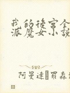 我的后宫全是反派魔女小说在线看