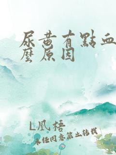 尿黄有点血是什么原因