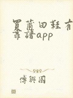 买莆田鞋有没有靠谱app