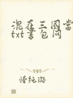 混在三国当神棍txt书包网